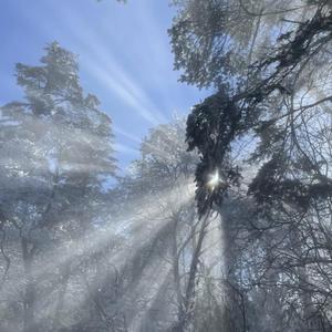 水蜜桃一曲二曲三曲
